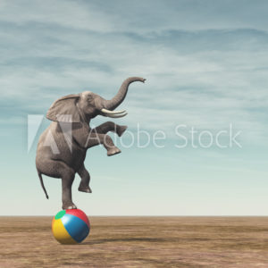 AdobeStock_175497786_Preview AdobeStock_175497786_Preview