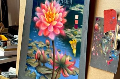 Nymphaea
